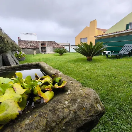 Flor Da Natureza - Flor *