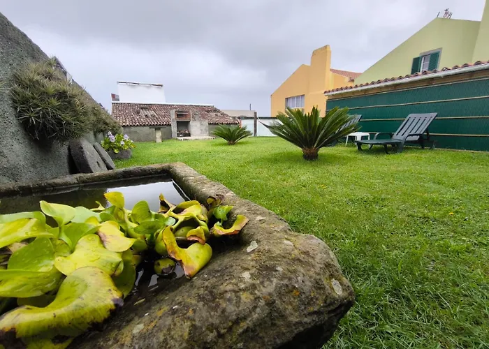 Flor Da Natureza - Flor *